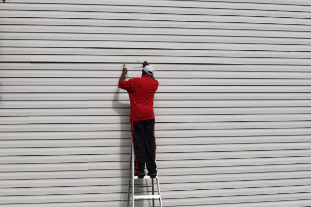 Historical Building Siding Restoration in Forest, VA